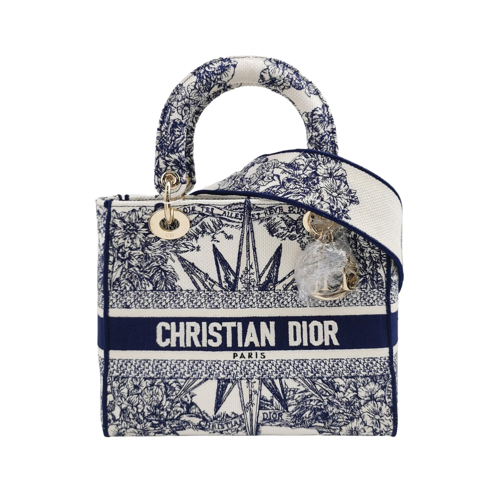 Lady Dior Medium Canvas Logo